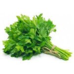 English Parsley