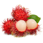 Rambutan