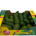 Lavida Avocado Fuerte (Ripen at Home)